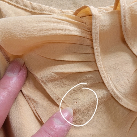 Silk Ruffle Blouse - Picture 4 of 5